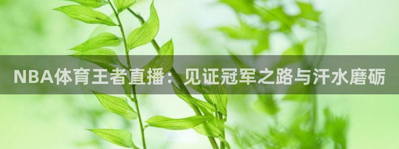 足球直播nba直播吧：NBA体育王者直播：见证冠军之路与汗水磨砺