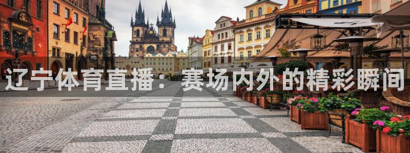 足球直播吧 足球视频直播：辽宁体育直播：赛场内外的精彩瞬间