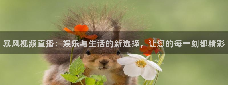 足球直播吧手机版：暴风视频直播：娱乐与生活的新选择，让您的每一刻都精彩