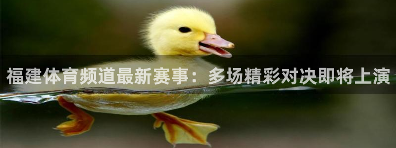 nba篮球直播吧