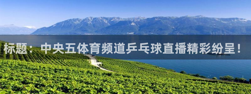 足球直播吧皇马：标题：中央五体育频道乒乓球直播精彩纷呈！