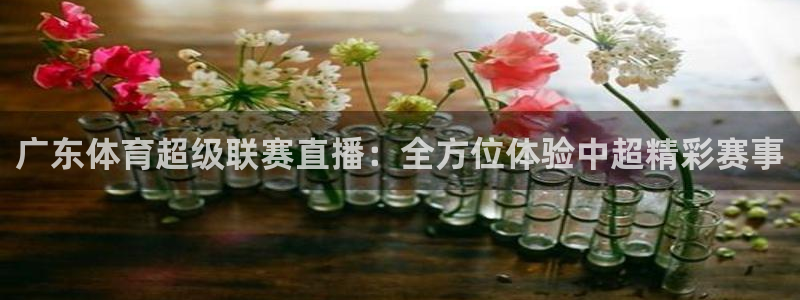 直播吧篮球：广东体育超级联赛直播：全方位体验中超精彩赛事